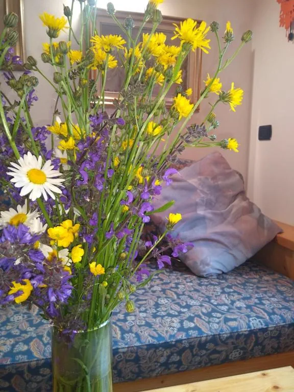 Camera Matrimoniale Economy — Cianbolpin Guesthouse