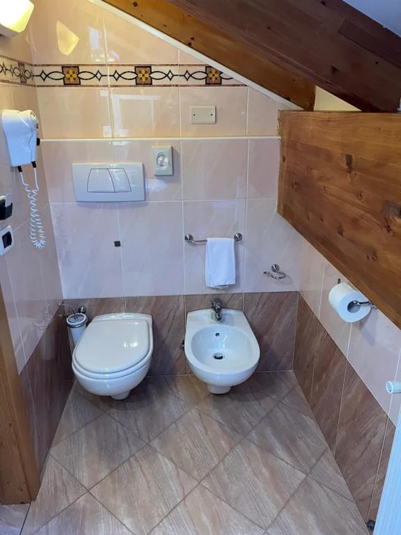 Camera Singola con Bagno Privato Esterno — Park Hotel Aurora