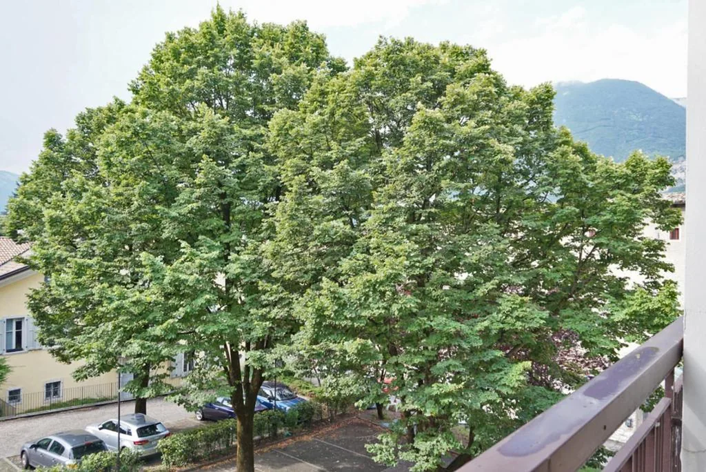 Single Room with Private Bathroom — I Dodici mesi rooms&apartments