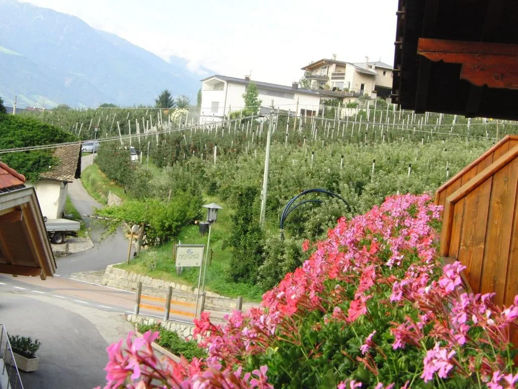 Single Room with Balcony — Garni An der Leit