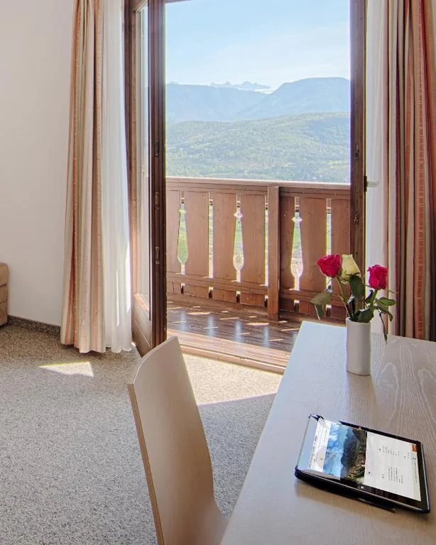 Camera Singola con Balcone — Pension Christl