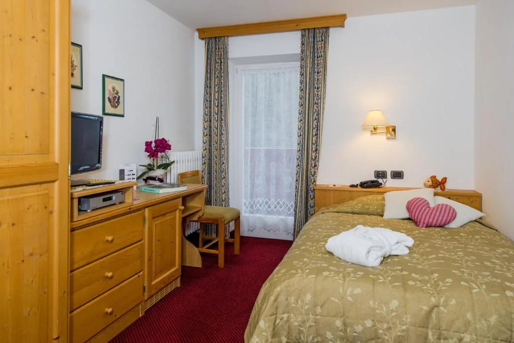 Single Room with Mountain View — Hotel Bellavista