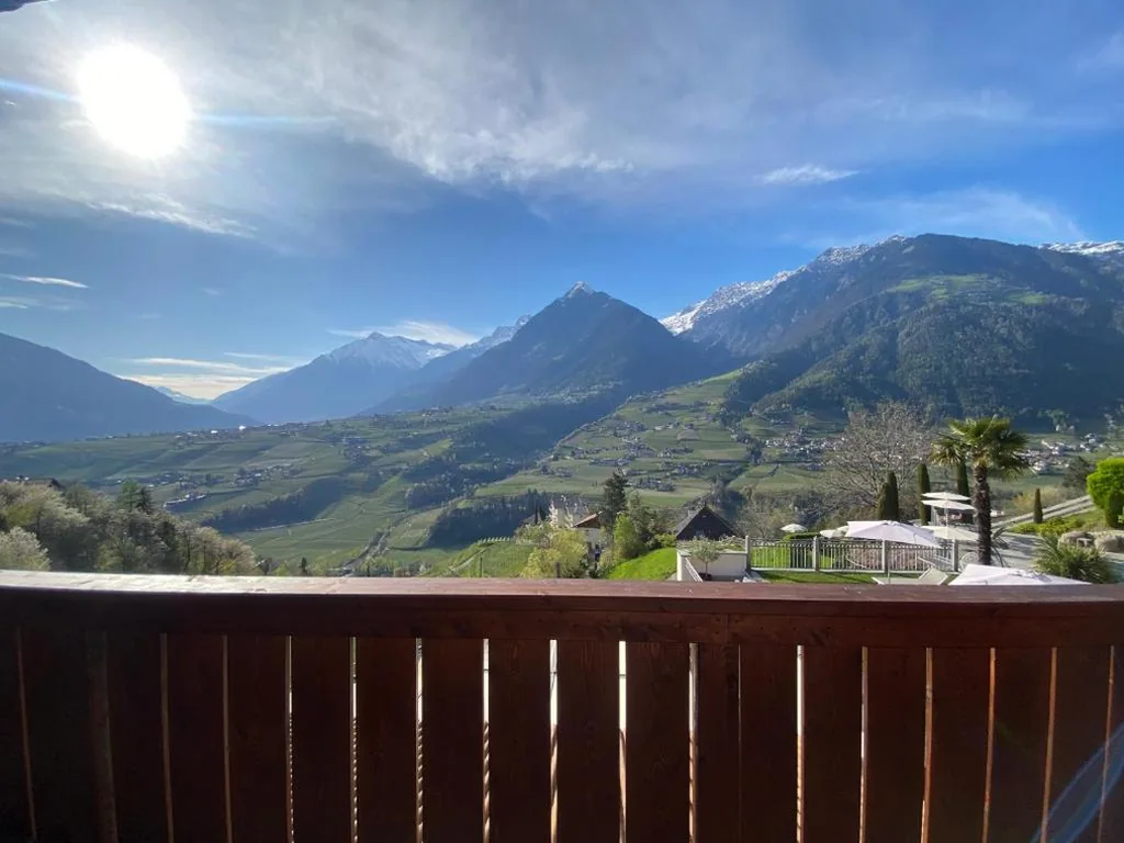 Single Room with Mountain View — Hotel Schlosswirt