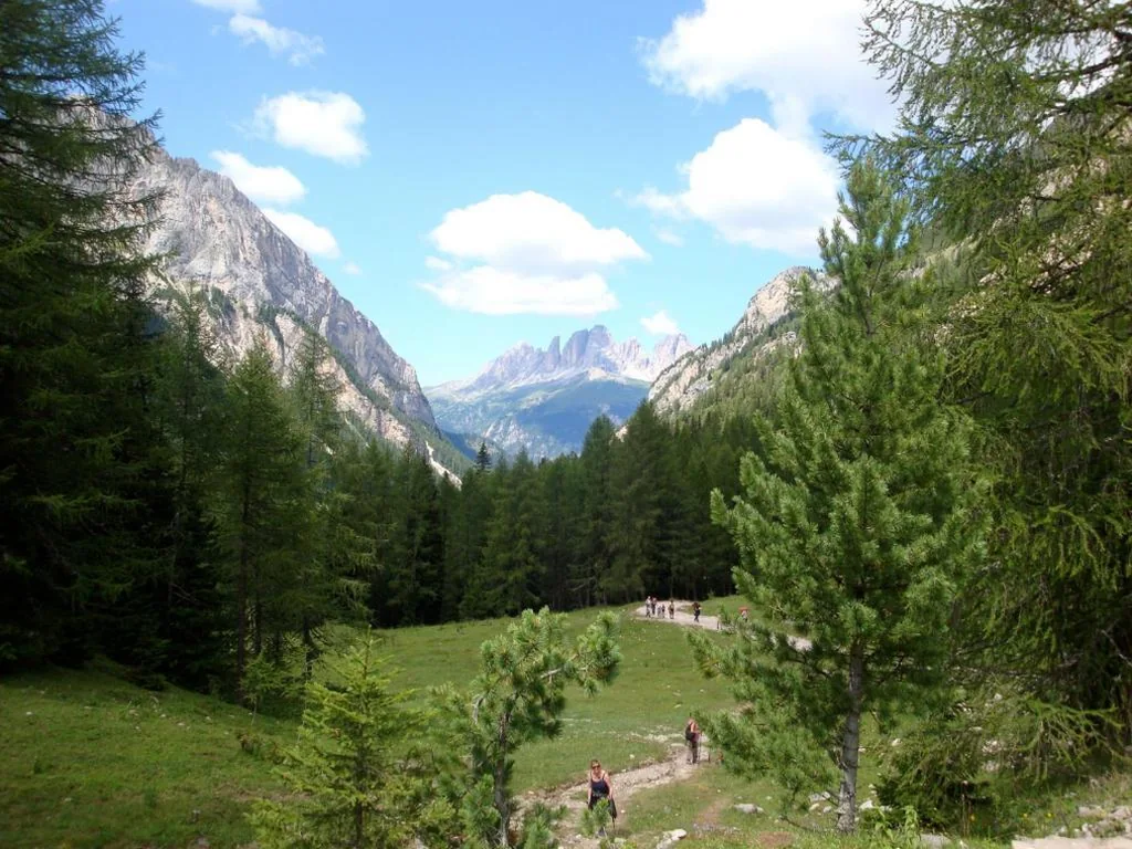 Single Room with Mountain View — Villa Adria B&B