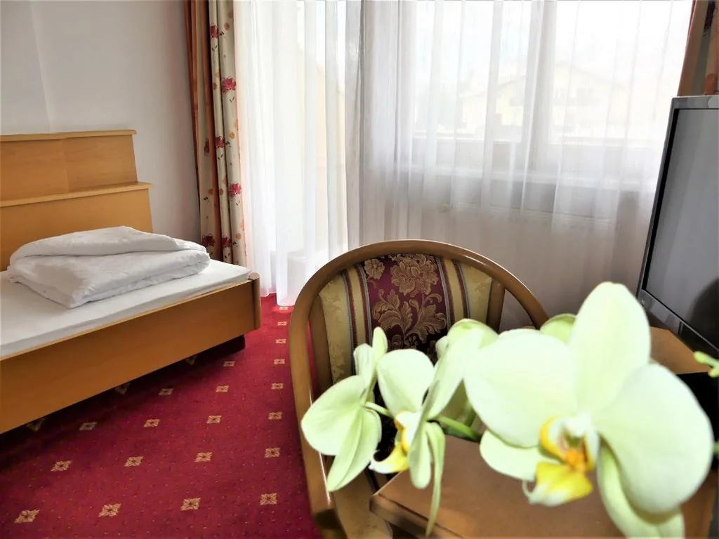 Single Room - Non-Smoking — Hotel Hubertushof