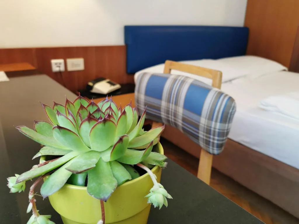 Camera Singola Superior — Hotel Adria