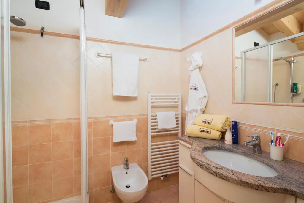 Single Room — Vidor Resort