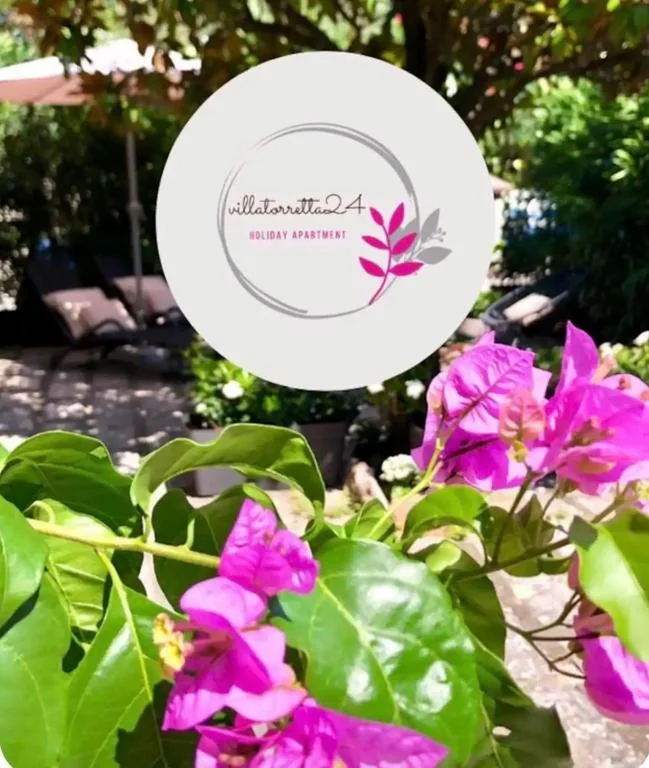 House with 2 Bedrooms — Appartamento villatorretta24