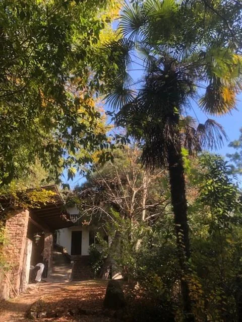 Casa Vacanze — TORRE GARDEN HOME – casa singola nella città di Bolzano con giardino privato
