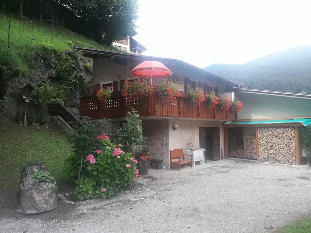 CASETTA INDIPENDENTE NEL VERDE PER 2/3 PERSONE — foto 3