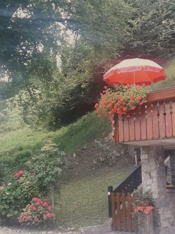 CASETTA INDIPENDENTE NEL VERDE PER 2/3 PERSONE — foto 4