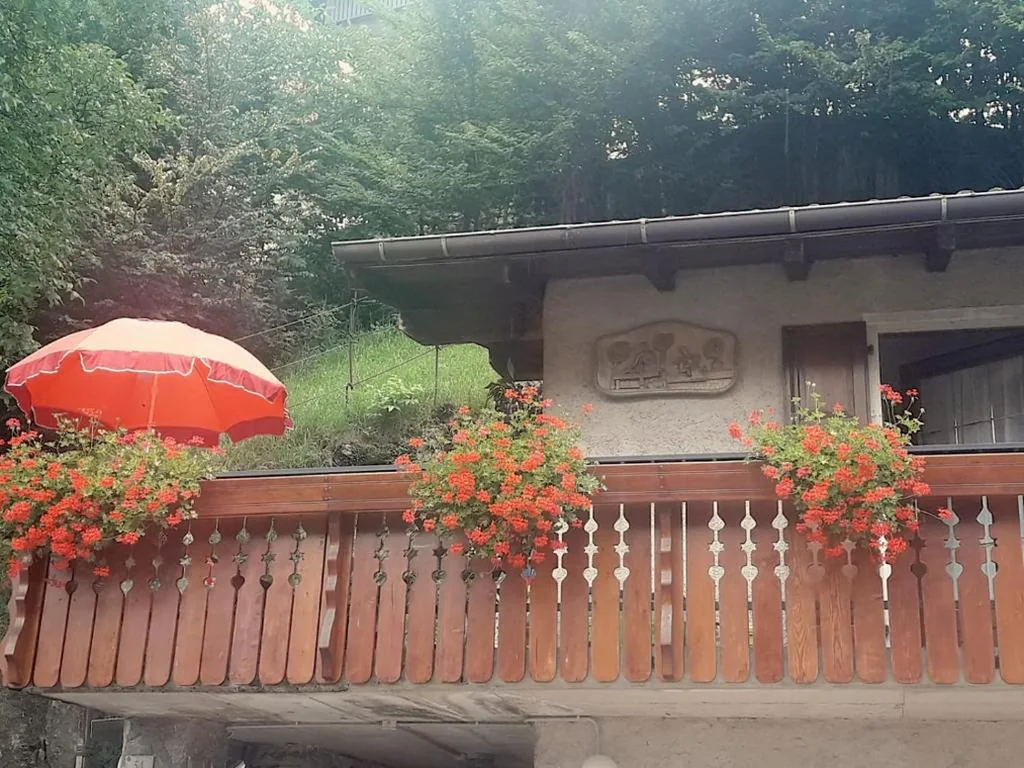 CASETTA INDIPENDENTE NEL VERDE PER 2/3 PERSONE — foto 6