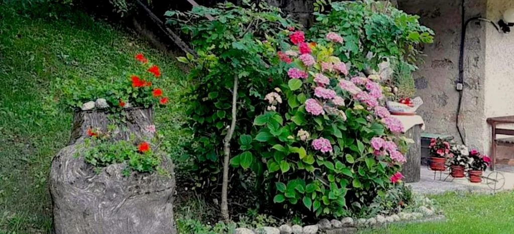 CASETTA INDIPENDENTE NEL VERDE PER 2/3 PERSONE — foto 7