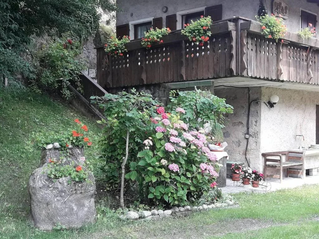 CASETTA INDIPENDENTE NEL VERDE PER 2/3 PERSONE — foto 8