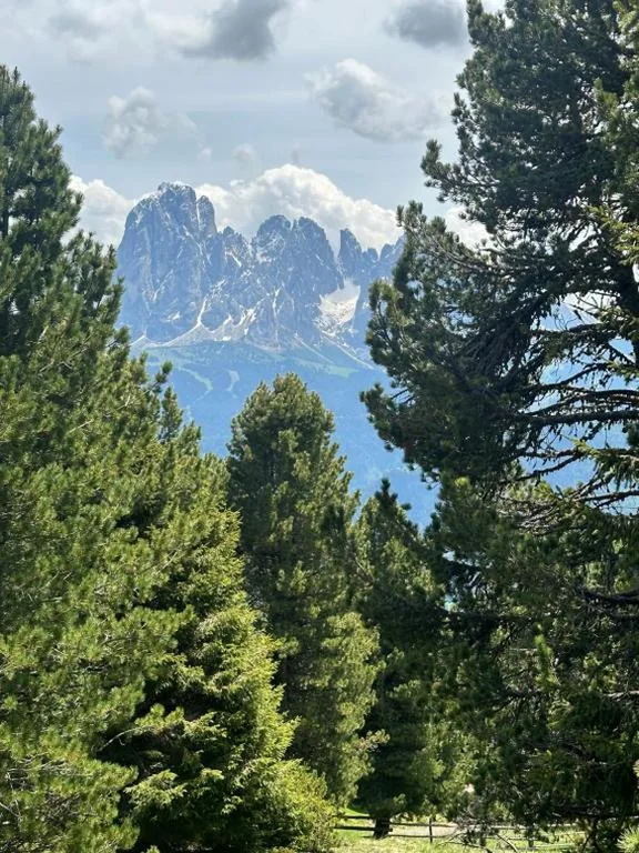 Chalet Resciesa Ortisei — foto 4