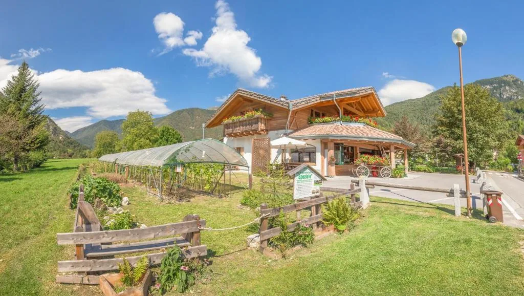 CROSINA HOLIDAY – B&B dalla Fattoria della Patty