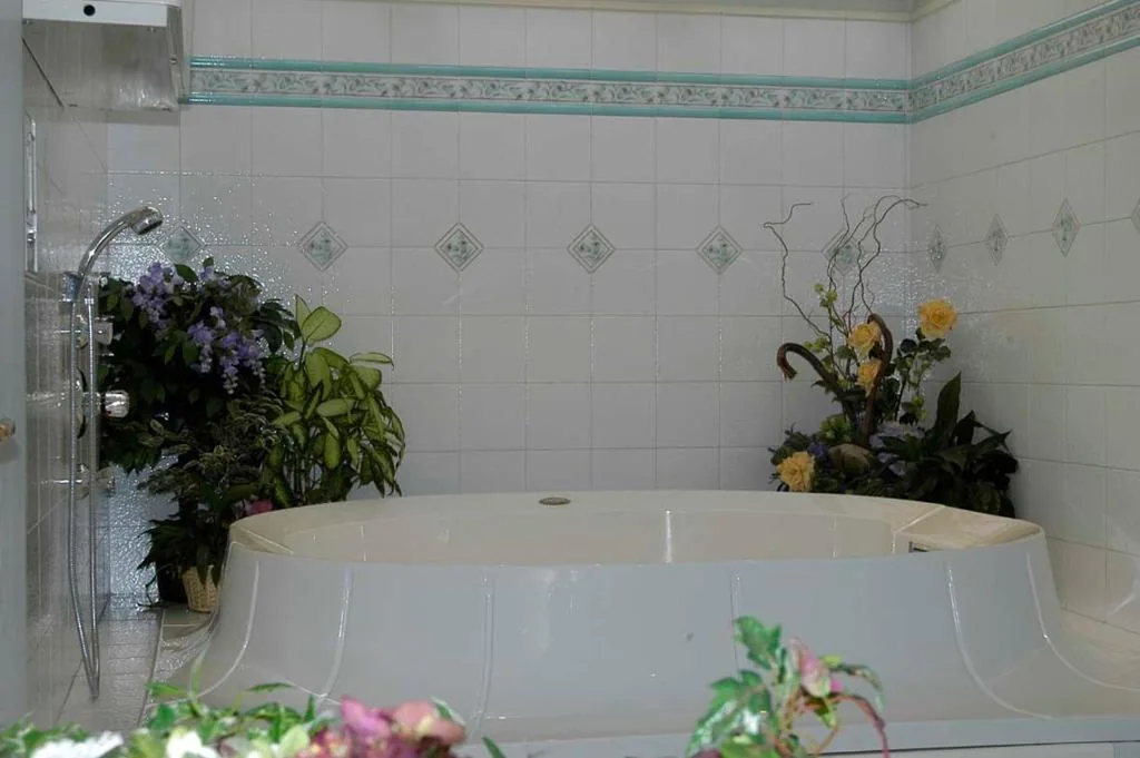 Debra Park Hotel — foto 3