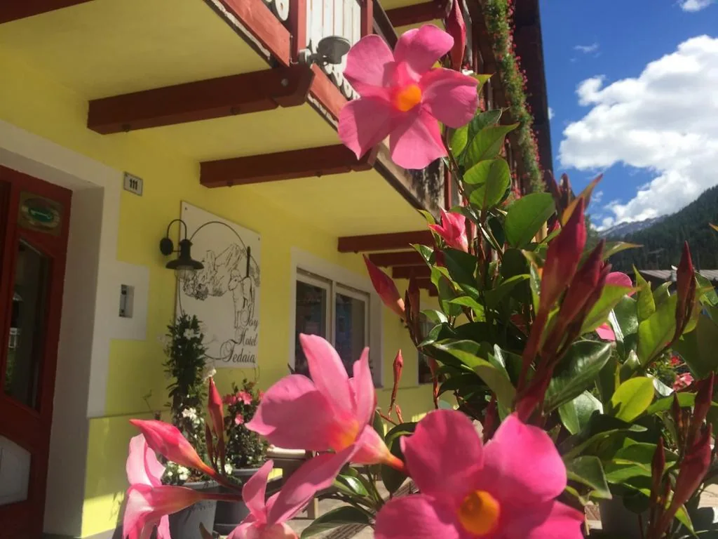 Fedaia Joy B&B — foto 4