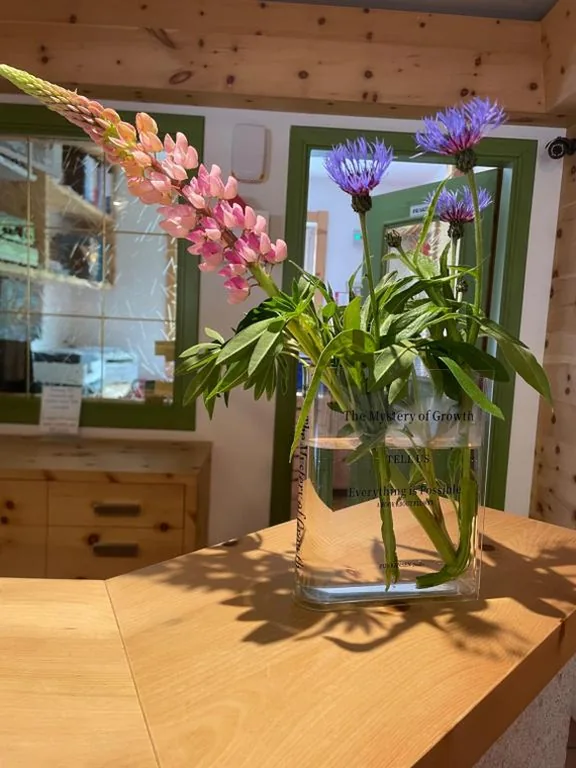 Fedaia Joy B&B — foto 6