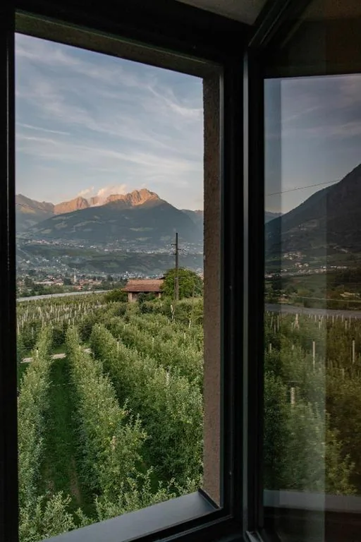 Garni-Hotel Der Forsterhof