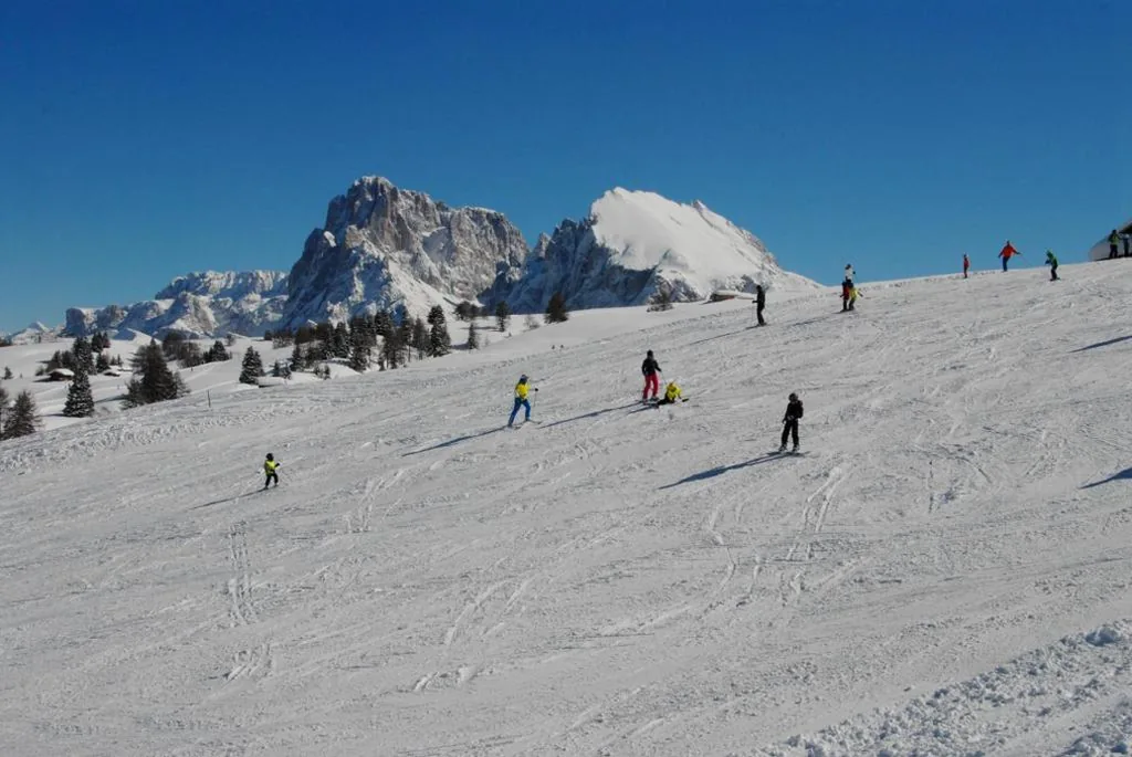 Garni Karlegger — foto 5
