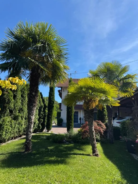 Garni San Paolo — foto 6