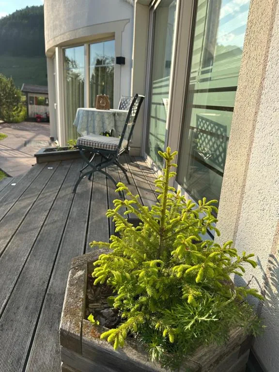 Garnì Villa Erna — foto 8