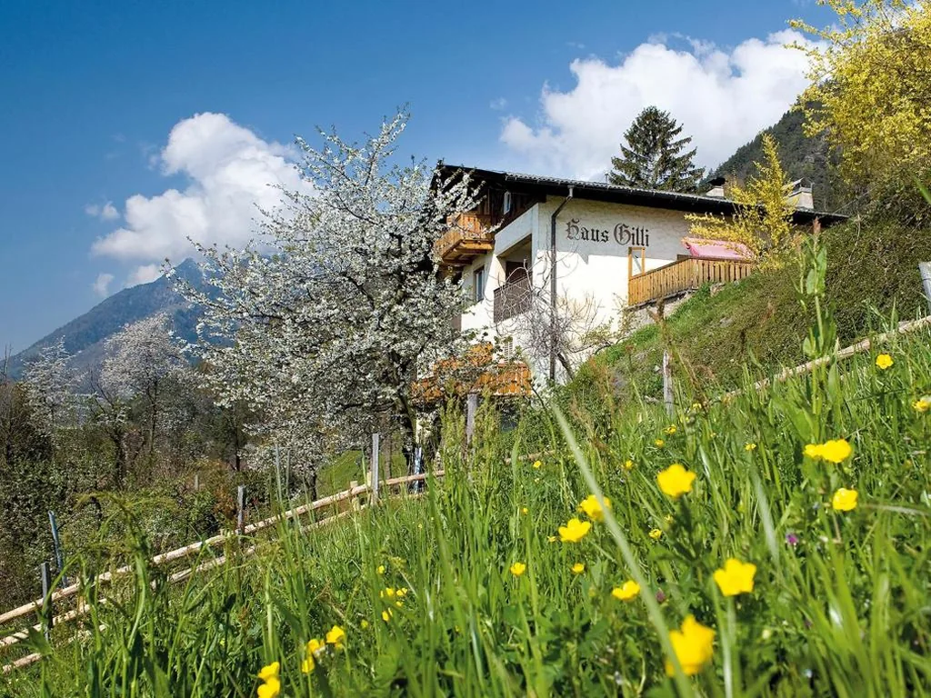 Haus Gilli — foto 5