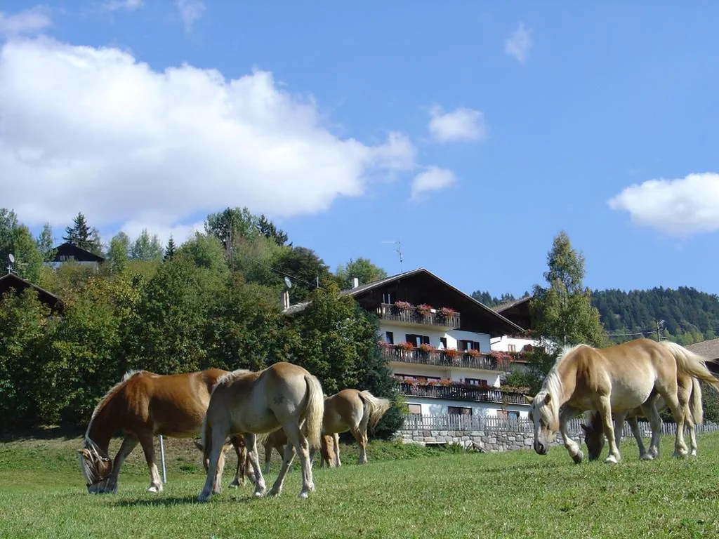Haus Hafner — foto 5