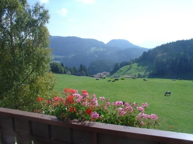 Haus Hafner — foto 8