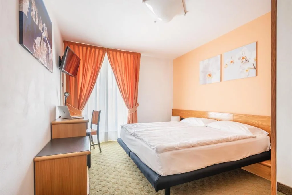 Hotel Alpina — foto 5