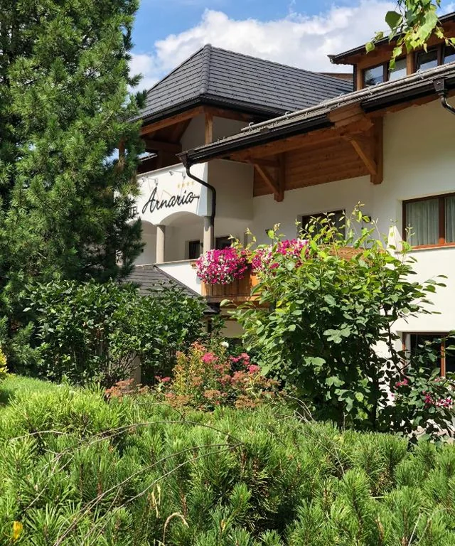 Hotel Arnaria — foto 7