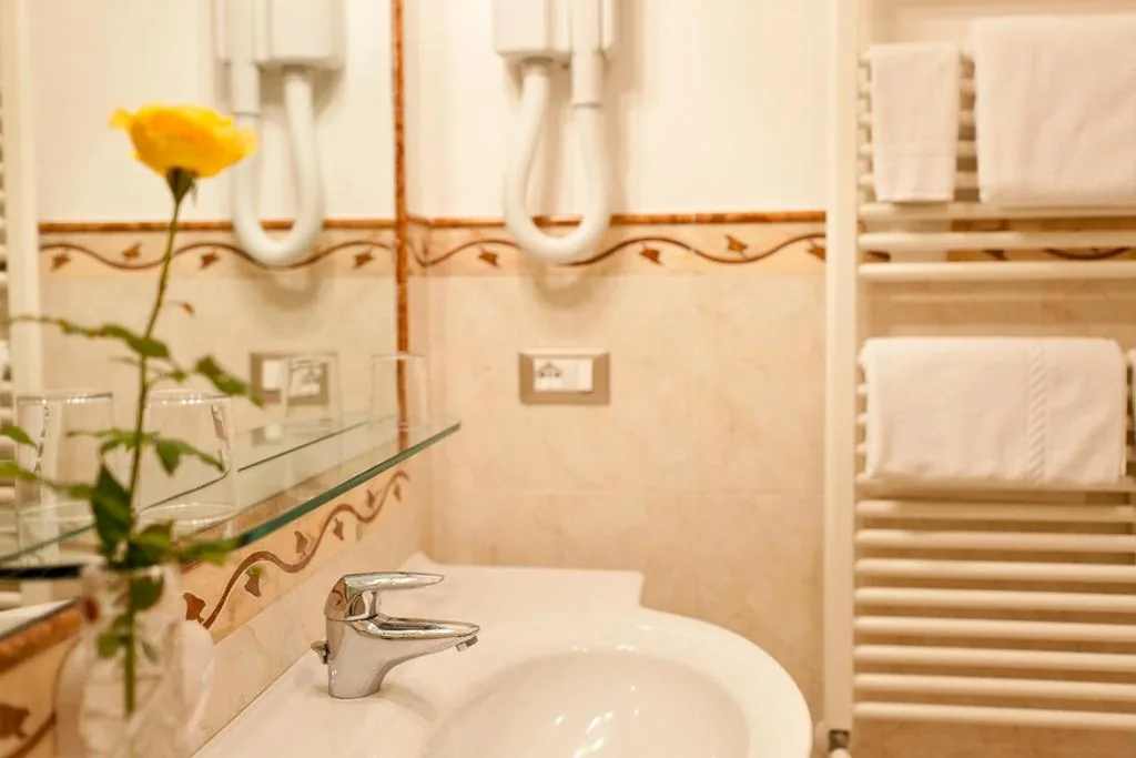 Hotel Aster