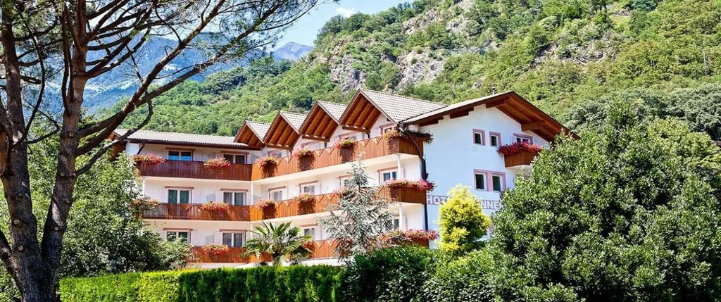Hotel Brunner — foto 4