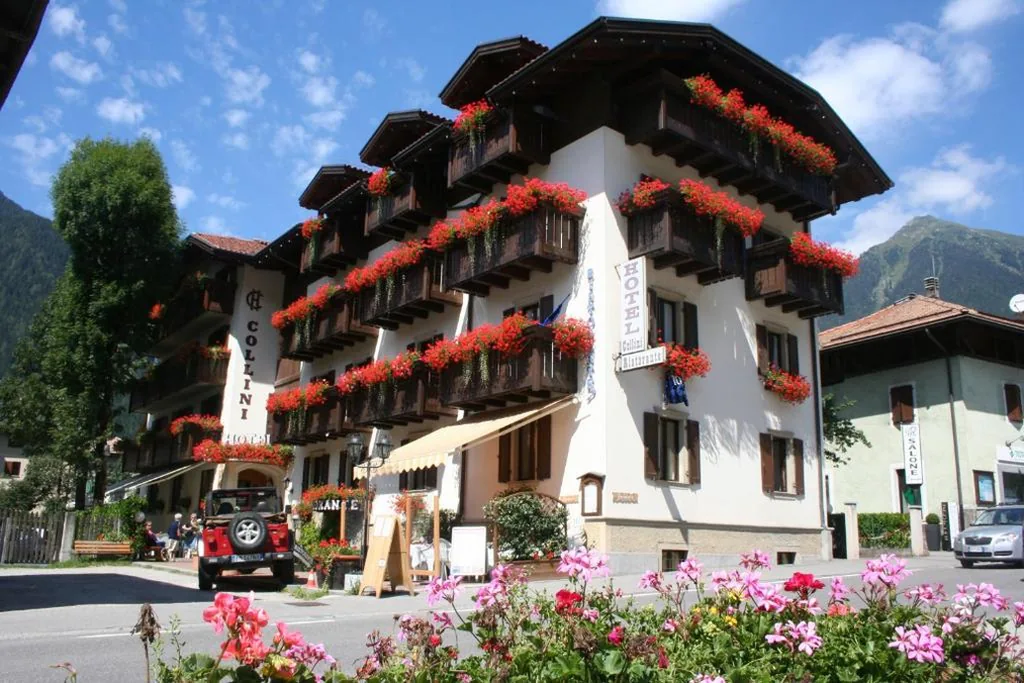 Hotel Collini — foto 3