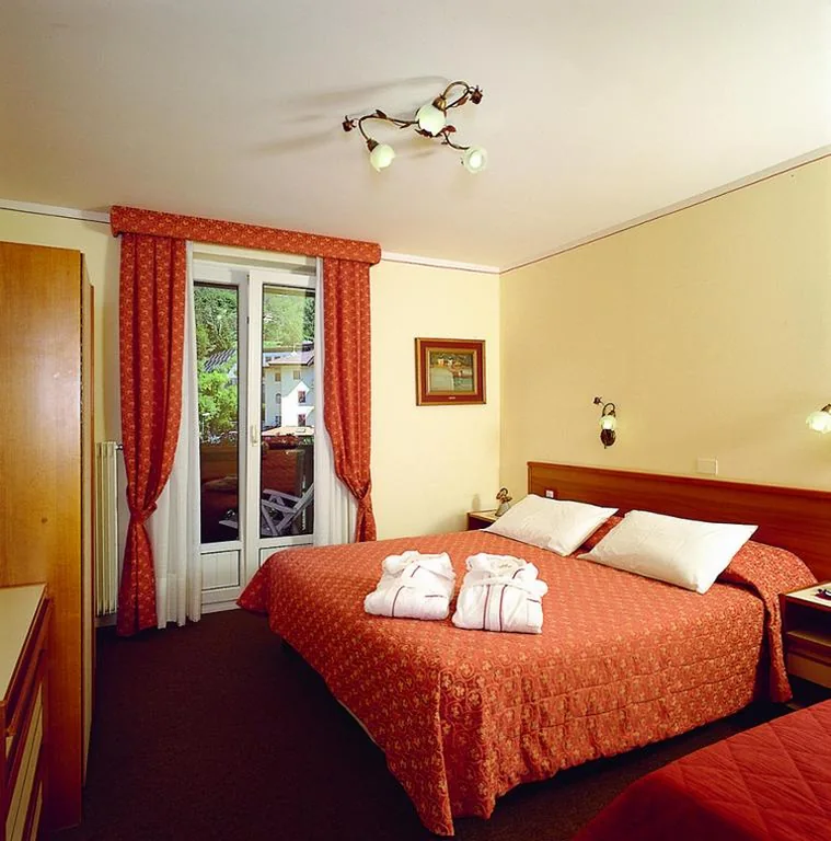 Hotel des Alpes — foto 6