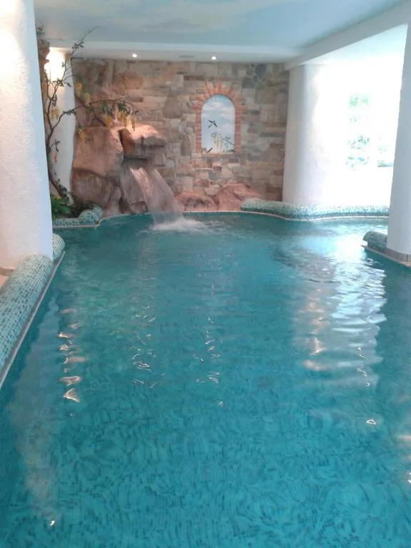 Hotel des Alpes — foto 7