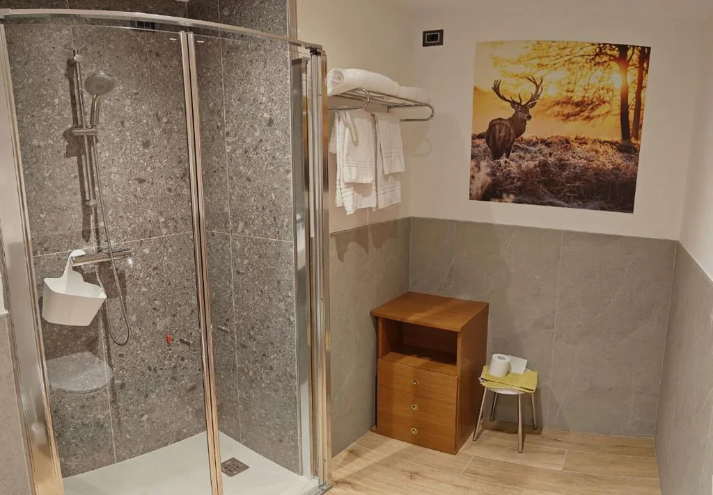 Hotel Moena — foto 5