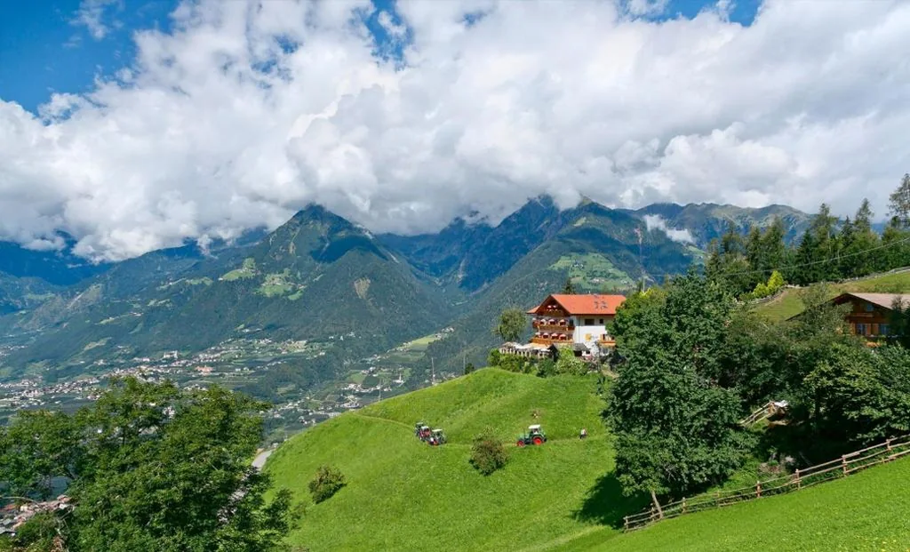 Hotel Rastlhof — foto 8