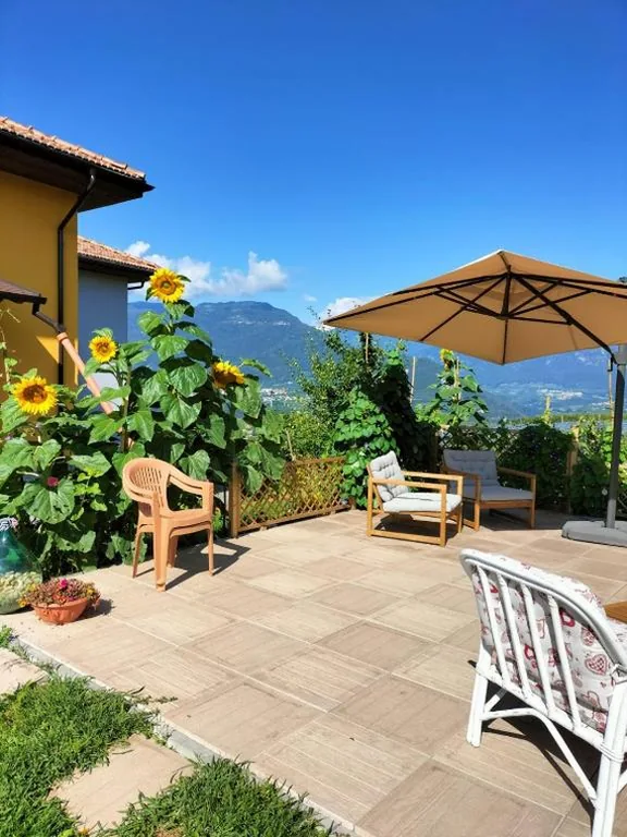 I girasoli — foto 6