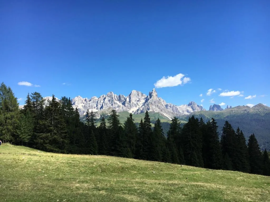 il Finferlo — foto 7