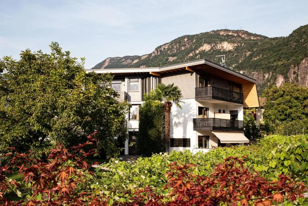 Julias Guesthouse — foto 6