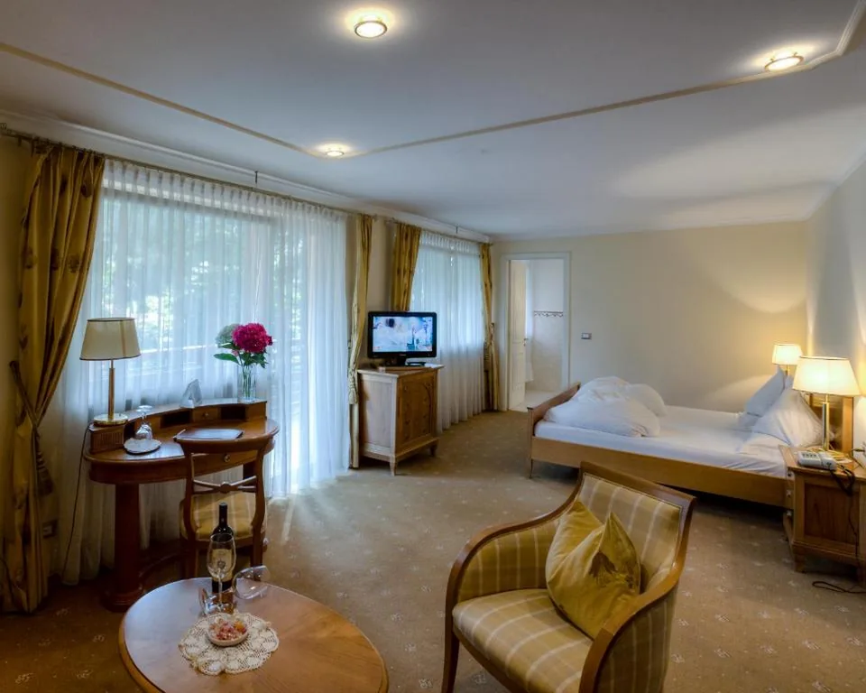 Junior Suite con Vista Strada — Hotel Aster