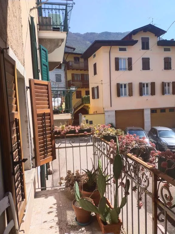 La tana dell’artista — foto 4