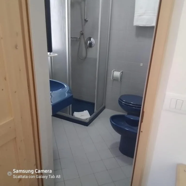 Life Hotels Des Alpes — foto 7