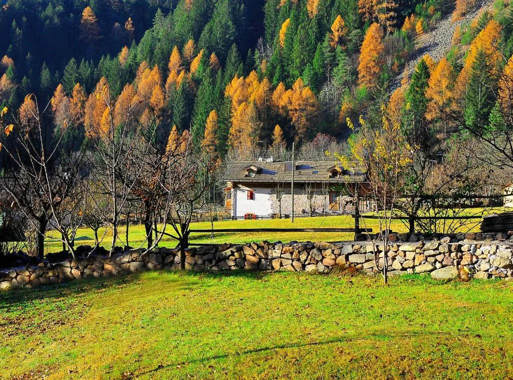 Maso Franceschella — foto 6
