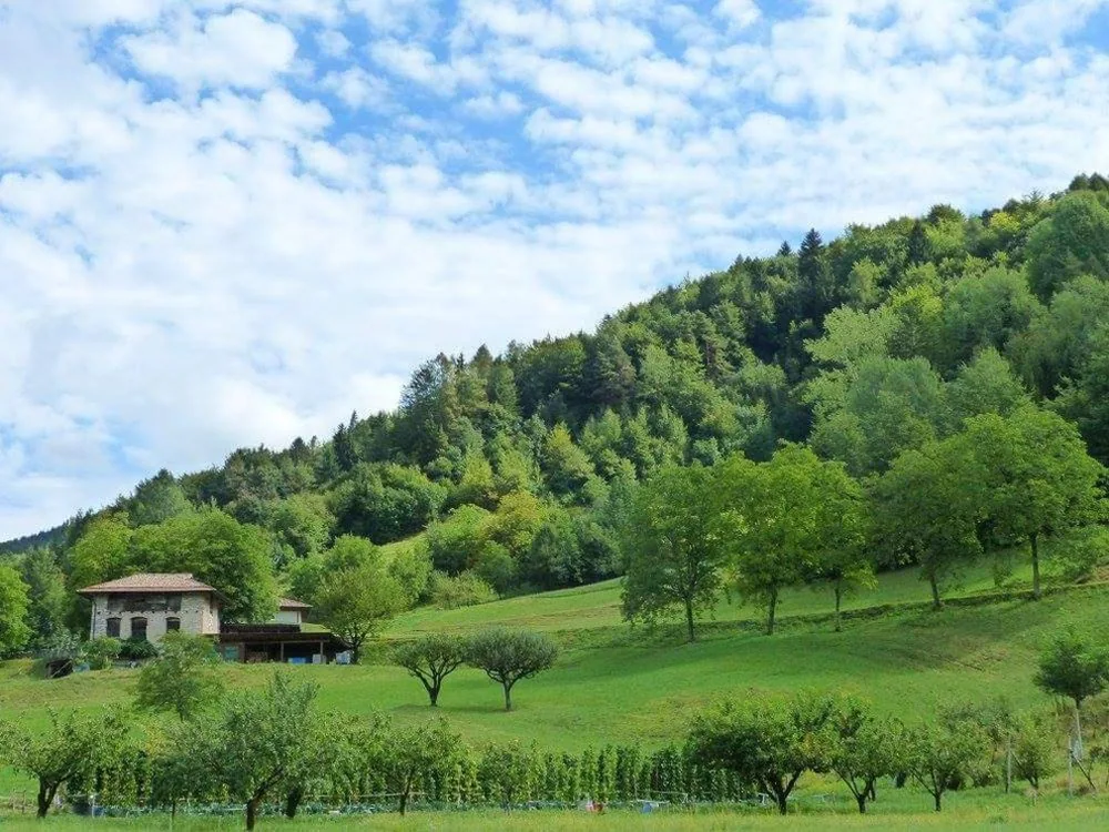 Nido di Rondine B&B — foto 8