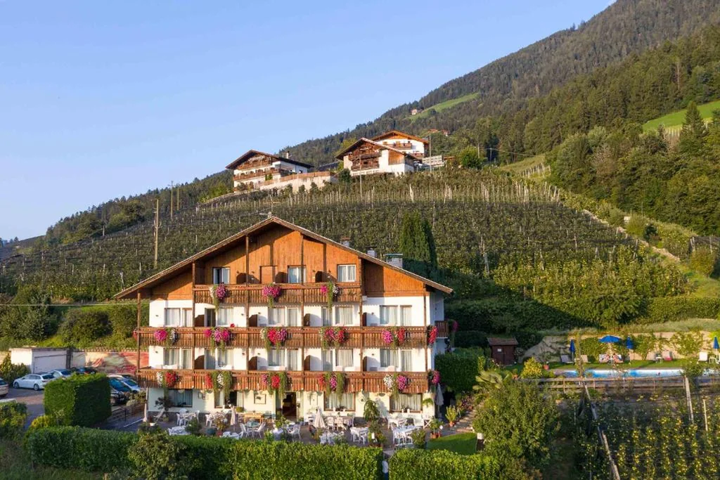 Panorama Hotel St Georgen