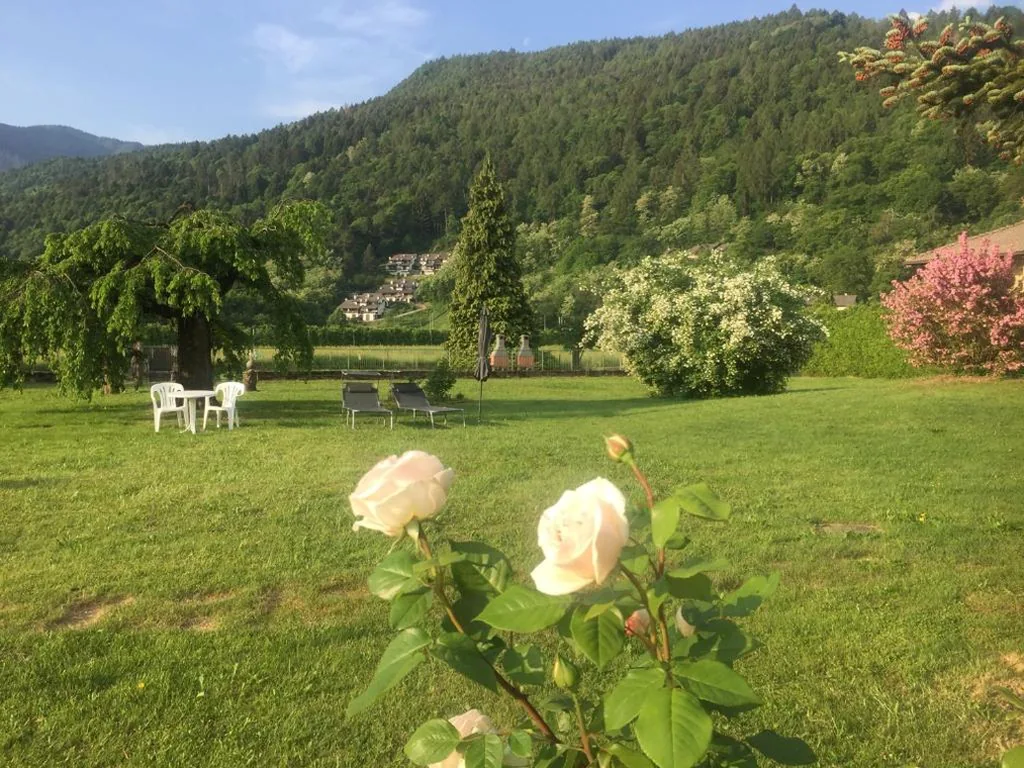 Paradiso sul lago — foto 8