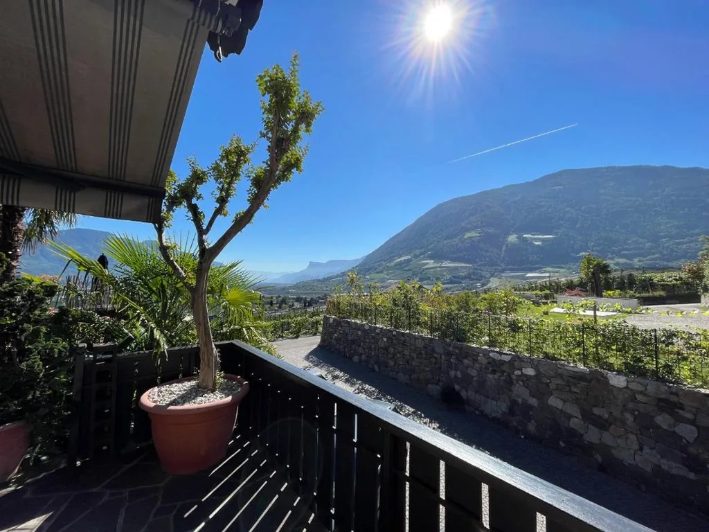 Pension Hauenstein — foto 8